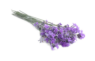 Fototapeta premium Bouquet of beautiful lavender flowers isolated on white