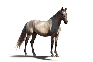 Grulla horse illustration on a white backdrop. Generative AI