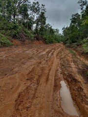 muddy road in borneo jungle