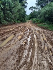 muddy road with bike trail in borneo jungle