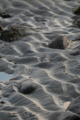 Ripples in the Sand