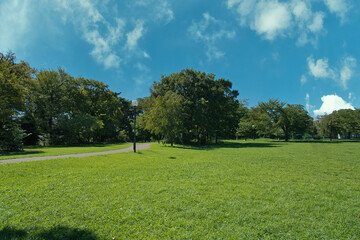 A park full of blue sky and grass