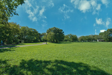 A park full of blue sky and grass