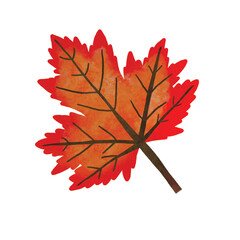 orange-brown maple leaf autumn