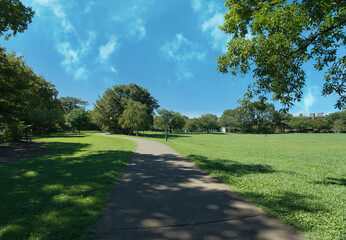 A park full of blue sky and grass
