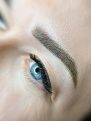permanent eyebrow make up close up