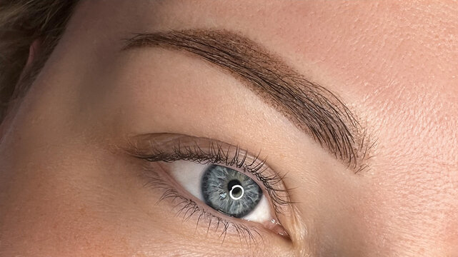 permanent eyebrow make up close up