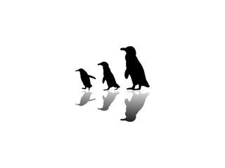 Penguin silhouette vector. Set of penguin in various poses.