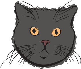 illustration of cat