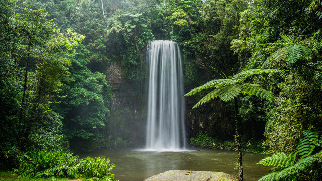 The absolutely georgous, most beautiful waterfall Milla Milla in Queensland Australia