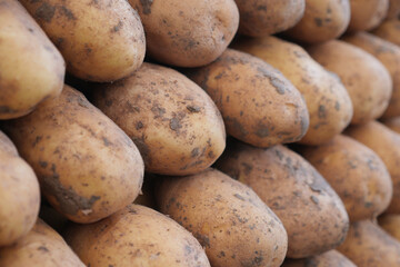 Close up of slice of raw potato in a bowl 