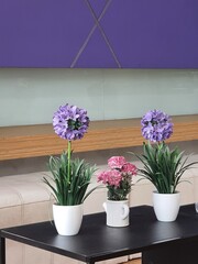 Flower blossom vase plant bloom