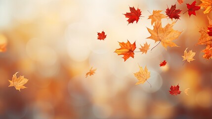 Falling autumn maple leaves natural background