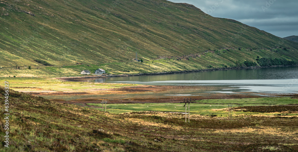 Wall mural The view of the lake and meadows in the Scottish Highland area in overcast weather