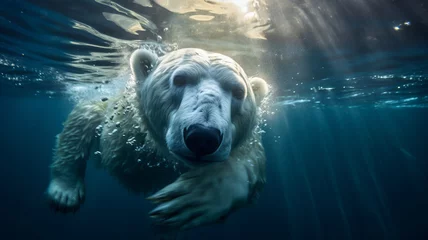 Foto op Canvas photograph of a polar bear swimming underwater in the arctic ocean,generative ai © JKLoma