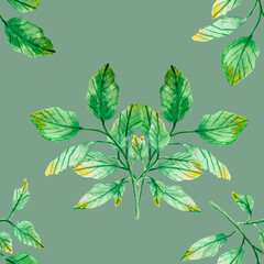 watercolor drawing, seamless pattern with green leaves and twigs