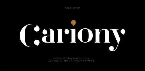 Elegant alphabet letters font. Classic Modern Serif Lettering Minimal Fashion logo Design. Typography  decoration fonts for branding, wedding, invitations, logos. vector illustration