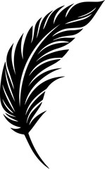 Obraz premium Feather
