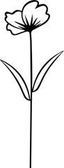 Fototapeta na wymiar Long Stem Flower