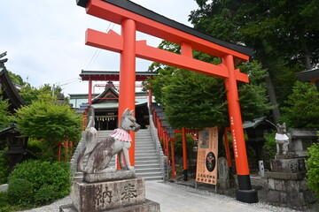 Vermilion torii of a Japanese shrine. Vermilion is used because the ancient Japanese wished the color of the image of the sun (god) to bring the dynamism of life.