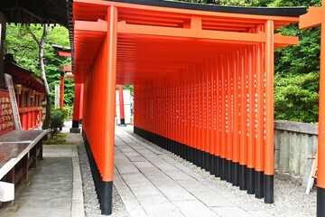 Vermilion torii of a Japanese shrine. Vermilion is used because the ancient Japanese wished the...