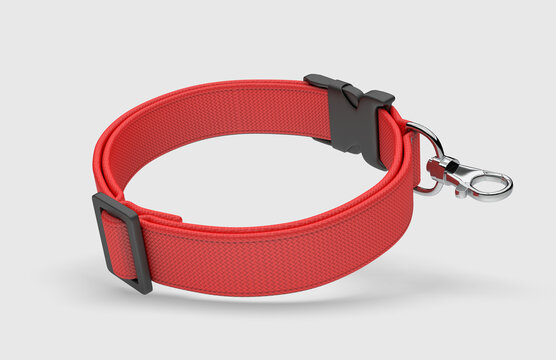 Dog adjustable collar belt blank mock up for branding and design, 3d illustration.