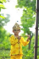 Fancy Dress Krishna, Indian loard krishna
