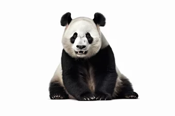 Poster giant panda bear generative ai © idealxone