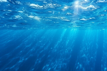 Obraz premium 常夏の海