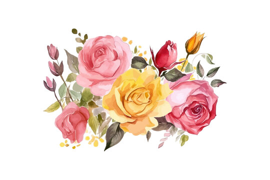 Watercolor rose flowers arrangement. Vector illustration design.