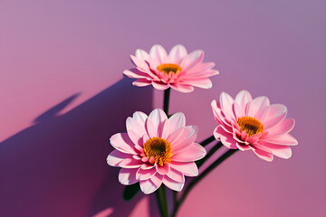 pink flowers