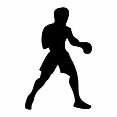 Fighting silhouette