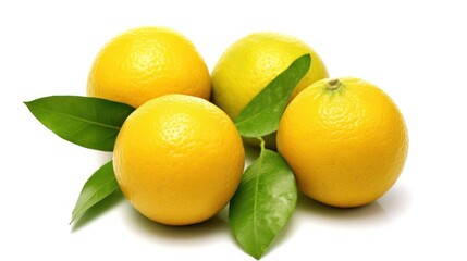 limes and lemons on white background 