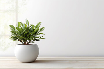 Natural Beauty: Potted Plant Gracing a Corner of a White Wooden Table - Serene Botanical Accent - Created with Generative AI Tools