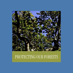 Fototapeta premium Composite of protecting our forests text over from below view of trees growing in woodland