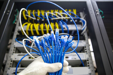Close-up lots of RJ45 UTP Cat6 LAN internet network cable fiber optic and Lots of Ethernet cables...