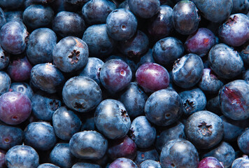 A close-up with many blueberries in the market