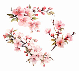 Set of cherry blossom flowers isolated on white background. Watercolor style illustration. Generated AI