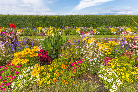 Jardin fleuri 
