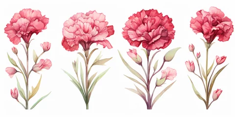Behang Set of Carnation flowers watercolor style. © toeytoey