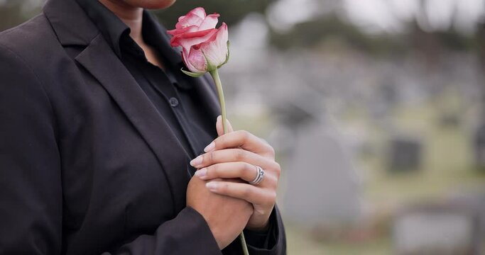 Funeral, cemetery and person with rose sad for remembrance, burial ceremony and memorial service. Depression, death and woman with flower on gravestone for mourning, grief and loss in graveyard