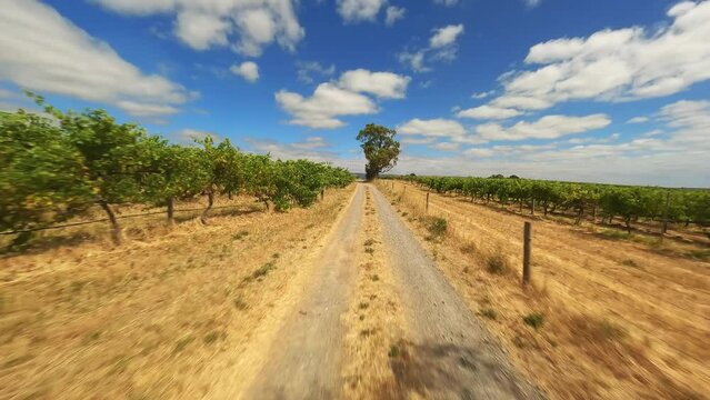 Empty road in a field in Australia video from FPV drone