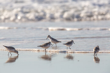 Atlantikküste Nord-Portugal