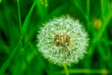 Fototapeta premium Sommerliche Wandertour durch das Saale Tal zur wunderschönen Leuchtenburg bei Kahla - Thüringen - Deutschland