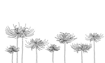 彼岸花がランダムに咲く線画イラスト