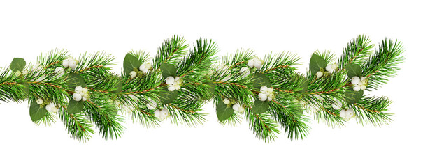 Green Christmas pine twigs and snowberries in a festive garland isolated on white or transparent background