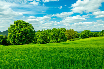 Sommerliche Wandertour durch das Saale Tal zur wunderschönen Leuchtenburg bei Kahla - Thüringen - Deutschland