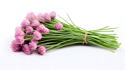 A stunning arrangement of purple chive flowers on a white background