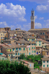 Fototapeta na wymiar View over the rooftops of Siena to the town hall tower. Tuscany Italy, Europe