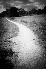 chemin de campagne , Chambesy